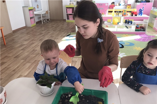 Цветок Ветерану!