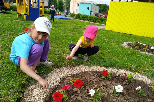 Трудовое воспитание в детском саду в летний период