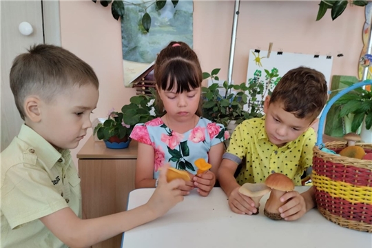 Осторожно ядовитые грибы и ягоды!