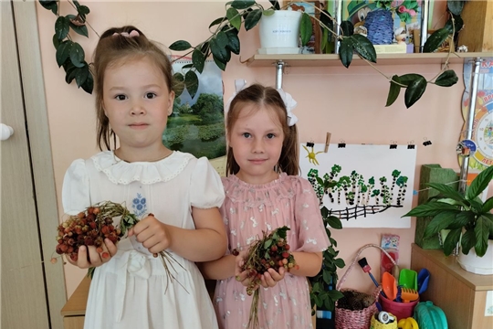 Ягодное царство