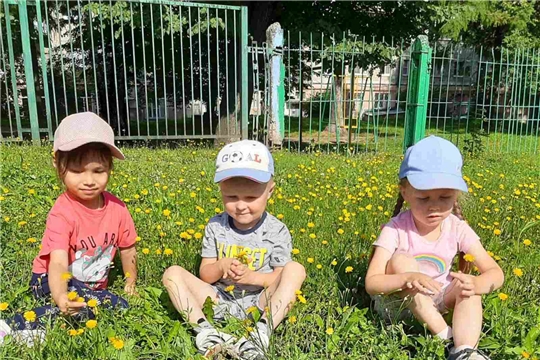 Познавательные занятия о цветах