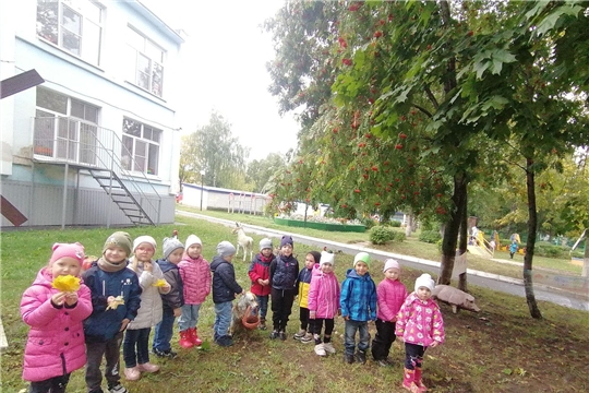 Увлекательные прогулки в детском саду.