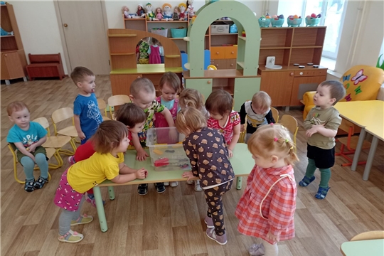 Экспериментирование с водой