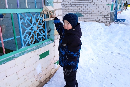 "Столовая для пернатых"
