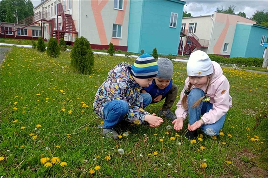 Наблюдение в природе.