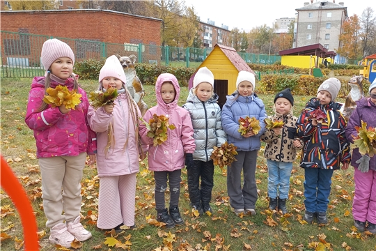 Осенняя познавательная  прогулка