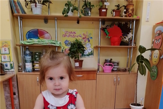 Причудливые гроздья рябины