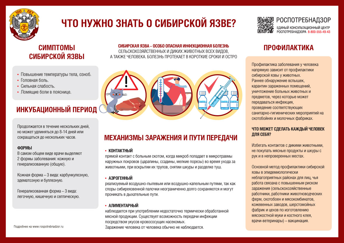 Памятка_Сибирская язва