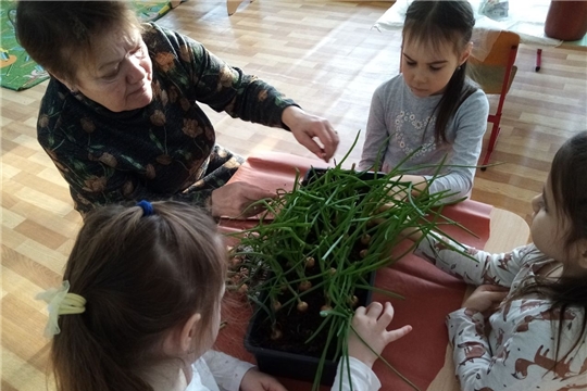 Свежая зелень богата витаминами и микроэлементами