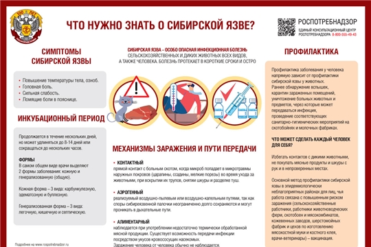 Сибирская язва - опасная инфекционная болезнь!