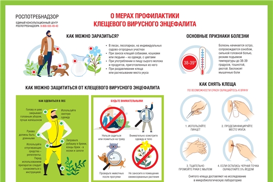 Меры профилактики клещевого вирусного энцефалита