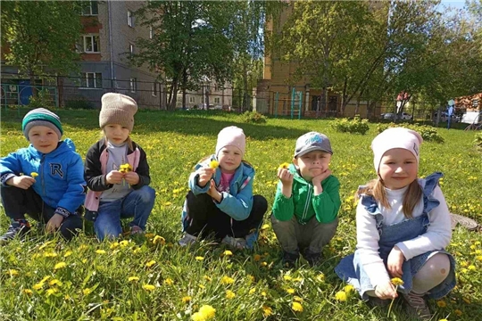  13 мая - Всемирный день одуванчиков!