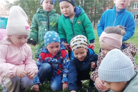 Живые уроки. Наблюдение рабят группы "Умка" за ёжиком. Аппликация "Ёжик с грибами"
