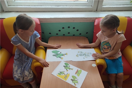 Знакомство с лекарственными растениями