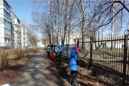 Безопасность на экологических мероприятиях