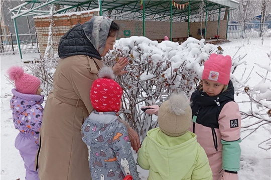 Безопасная прогулка