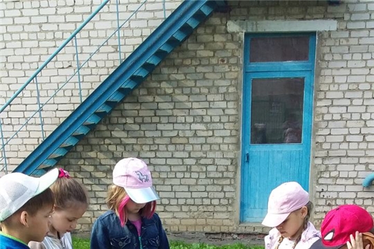 Опасность люков и колодцев