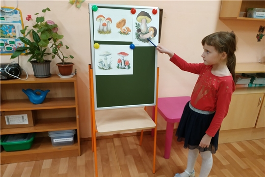 Осторожно грибы!