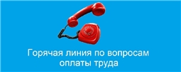 Горячая линия по вопросам оплаты труда