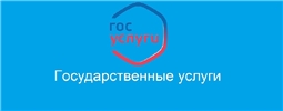 Государственные услуги
