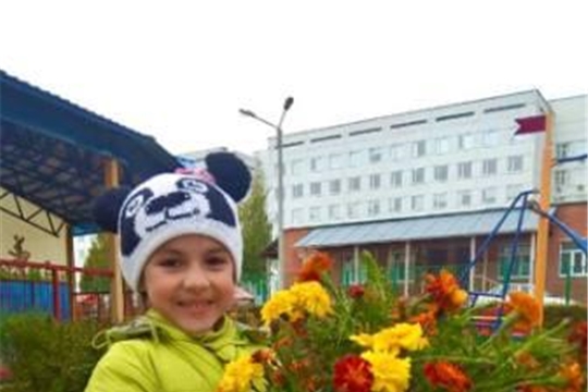 Порядок на участке