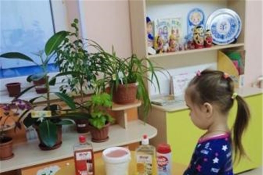 Бытовая химия в доме