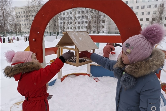 Покормите птиц зимой!