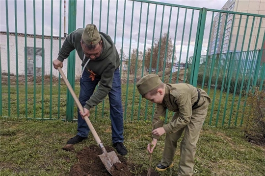 Акция "Сады памяти"