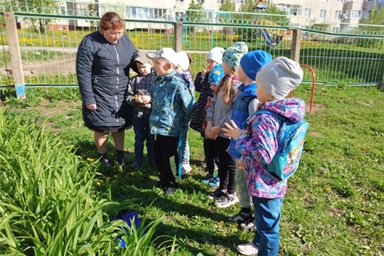 Безопасность на детской площадке