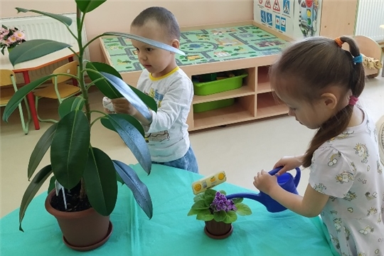 Ухаживаем за комнатными растениями