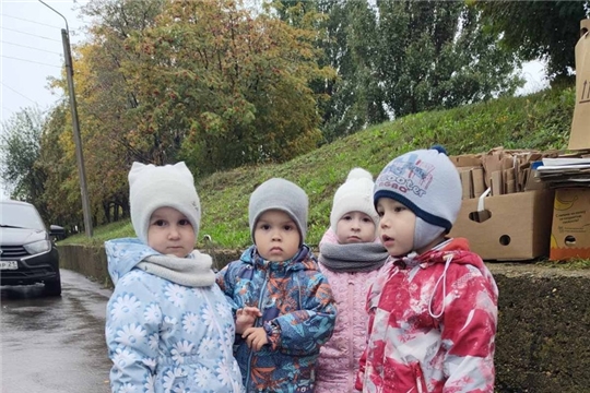 Соберем макулатуру- сохраним дерево!