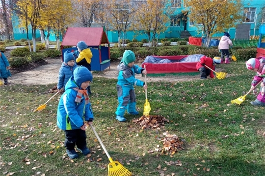 Помощь на участке