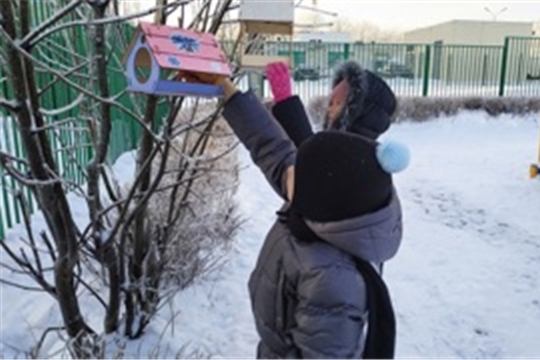 Покормите птиц зимой!