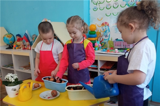 Витамины на грядке