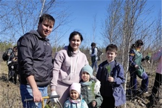 Экологическая акция «Я сажаю лес»