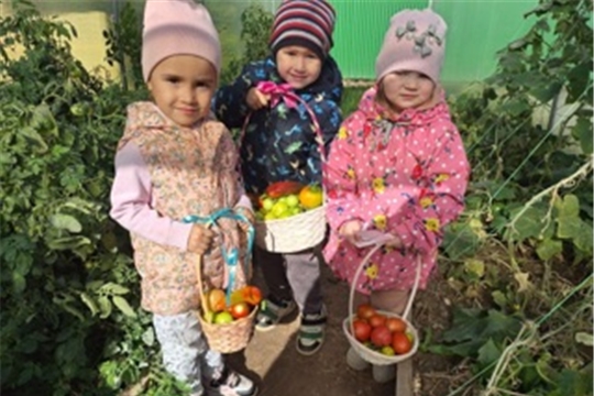 Славный урожай