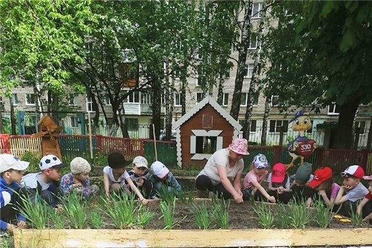 Огород в детском саду