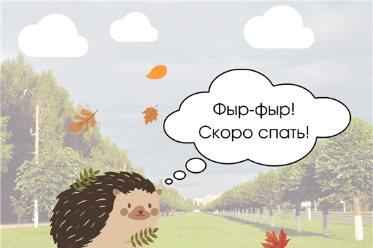Совсем скоро ежики уйдут в спячку