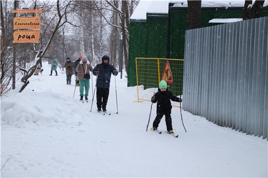 В роще работает пункт проката лыж