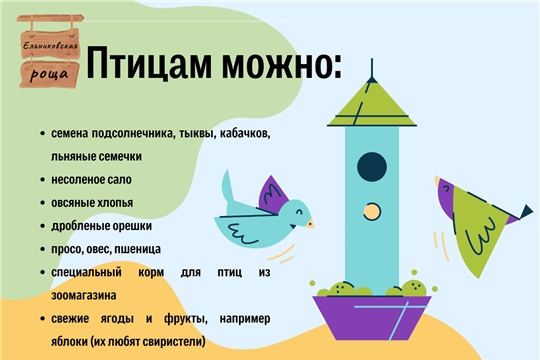 Накормите птиц зимой!