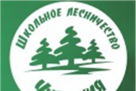 Приглашаем команды на XXXV республиканский слет школьных лесничеств
