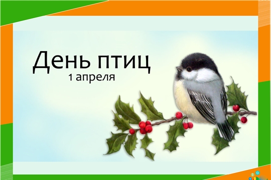 Вниманию участников конкурса «Наши крылатые друзья»!