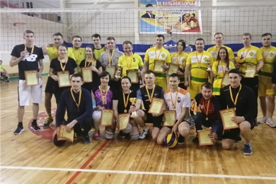 Кубок Канашского района по волейболу