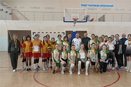 Районный турнир по волейболу среди девушек 2005-2006 г.р. памяти чемпионки Чувашской Республики Е.Н. Петрейкиной