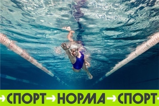 В селе Аликово началось строительство плавательного бассейна по федеральному проекту «Спорт – норма жизни»