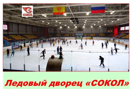 День здоровья и спорта!