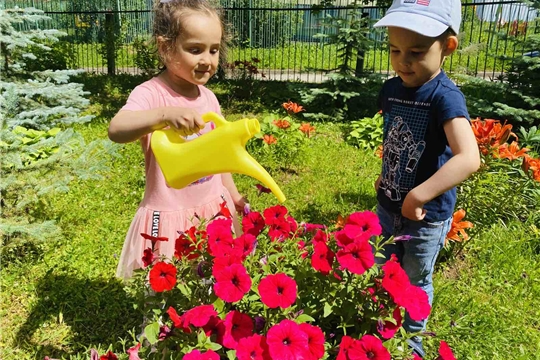 С любовью к природе