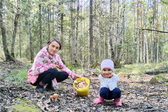 Фоточеллендж «Осенний урожай»