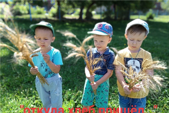 Хлеб и здоровое питание