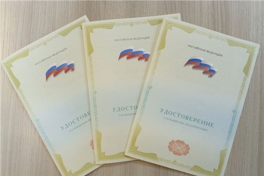 Итоги повышения квалификации библиотекарей Мариинско-Посадского муниципального округа за 2024 год